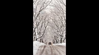 quotAl haNisimquot Hanukkah Song arranged for piano solo by Leah Ginzburg על הניסים [upl. by Niamrahc726]