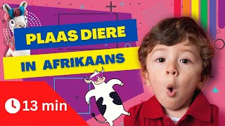 Plaasdiere kleuters lami afrikaans liedjies [upl. by Langham]