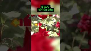 ፅጌሬዳ ቴድሮስ ታደሰ በግጥም tsegereda tedros tadesse with lyrics [upl. by Inahet]