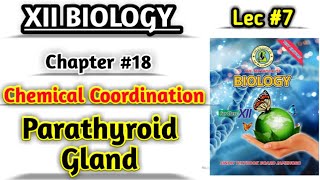 Parathyroid Gland Lec 7 Chemical coordination class 12 biology [upl. by Ahsok]