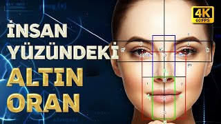 İnsan Yüzündeki Altın Oran I 4K [upl. by Agneta594]