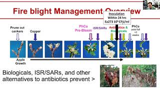 Biologicals amp Best Practices to Manage Your Pome Fruit Crop [upl. by Elolcin]