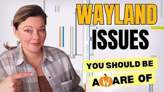 Will These Wayland Problems Still Exist in 2100 wayland linux [upl. by Gamaliel]