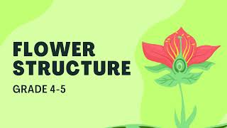 FLOWER STRUCTURE AND ITS PART [upl. by Brechtel706]