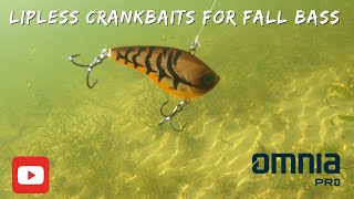 Lipless Crankbaits for Fall Bass Fishing [upl. by Gingras574]