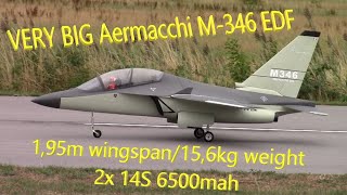 IMPRESSIVE Aermacchi M346 EDF flying at Schwandorf 2022 [upl. by Shaylynn]