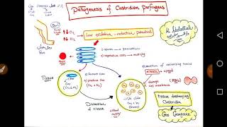 Clostridium Perfringens  Dr Amr Abdallah [upl. by Wade]