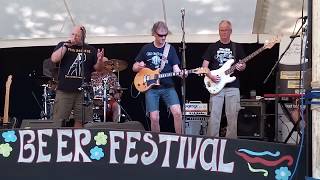 The Silverbacks Blues Band  Wilburton Beer Festival  18th June 2017 [upl. by Gnuhc]