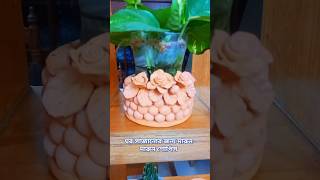 Clay showpieceমৃৎশিল্পshowpieces claycraft shortshorts viralshorts videofor you [upl. by Yentihw]