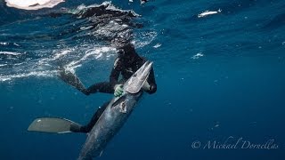 Wahoo Mayhem  Spearfishing Texas [upl. by Aeikan]