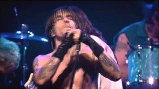 Red Hot Chili Peppers  Californication  Live at Olympia Paris [upl. by Blair131]