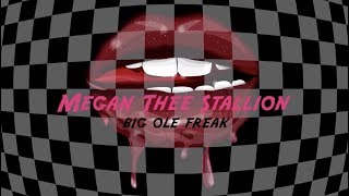 Megan Thee Stallion  Big Ole Freak Official Lyric Video [upl. by Akcimat]