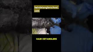 Why Sharing My Matted Hair Story Matters detangle untangled naturalhair myhairstory mattehair [upl. by Melly]