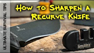 HOW to SHARPEN a RECURVE KNIFE BLADE  LIKE a BOSS [upl. by Yablon55]