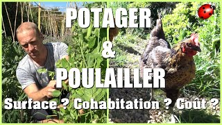 POULAILLER amp POTAGER  Surface  Cohabitation  Coût [upl. by Louella626]