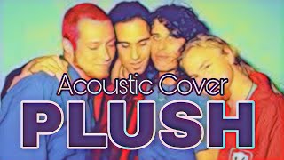 Stone Temple Pilots Plush Acoustic Cover🎶 [upl. by Ybrek995]