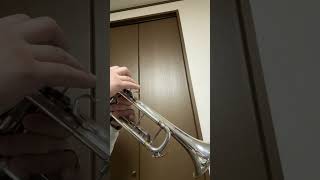 Hindemith Trumpet Sonata 13 [upl. by Marketa]