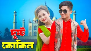 Dushtu Kokil দুষ্টু কোকিল  dihan  pori  rayna  comedy natok [upl. by Hirasuna]