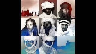 Tinariwen  Tenhert Official Audio [upl. by Coke202]