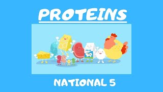 National 5GCSE Proteins [upl. by Afatsom191]