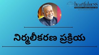 Heartfulness Cleaning in Telugu  హార్ట్‌ఫుల్‌నెస్ నిర్మలీకరణ  Heartfulness Telugu daaji [upl. by Enelrac52]