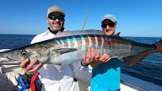 Wahoo on High Speed and Underwater Bottom Fishing Footage [upl. by Feetal]