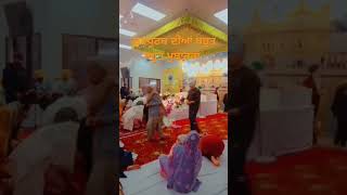 ਗੁਰੂਘਰ papatoetoenewzealandlife punjablife shorts ytshorts [upl. by Azilanna]