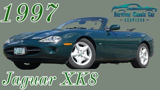 1997 Jaguar XK8 V8 Convertible for sale Survivor Classic Cars Luxury Jag drop top Tampa Florida [upl. by Lala]