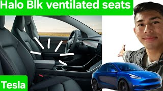 Upgraded Comfort Ventilated Seats in My Tesla Model 3 [upl. by Ikey]