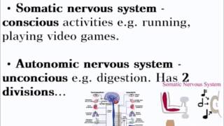 Animal Responses  ALevel A2 Biology Revision [upl. by Ellerihs]