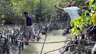 Bongobondu Island and ShekherTek Temple Sundarban [upl. by Aenyl]