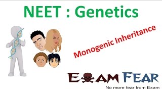 NEET Biology Genetics  Monogenic  Mendelian Inheritance [upl. by Daza]