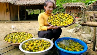 Harvesting soaked persimmons  Dessert fresh fruits are popular in Vietnam  Ly Thi Tam [upl. by Akinahs890]