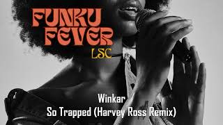 Winkar  So Trapped Harvey Ross Remix [upl. by Jaco]