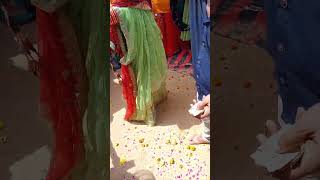 Majisa ghumar ghalo to rano dhol bajave ।।majisa ।।🚩majisa youtubeshorts viralvideo matarani [upl. by Ellesig]