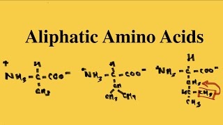 How to remember the Aliphatic Amino Acids  MCAT Biochemistry [upl. by Aneelahs317]