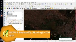 QGIS  NDVI and Reclassify [upl. by Naples]