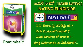 nativo fungicide telugu  bayer nativo fungicide telugu  best fungicide bayer nativo details telugu [upl. by Ijat95]