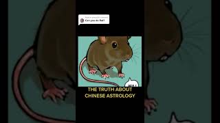 Chinese Zodiac Sign Rat🐀  Part1 shorts chineseastrology chinesezodiac gg33 [upl. by Garrity]