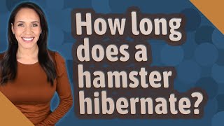 How long does a hamster hibernate [upl. by Haela]