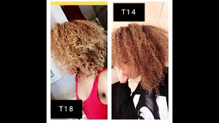 Toning my blonde ORANGE curly hair with Wella T14 [upl. by Theodor684]