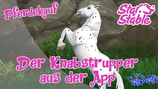 Star Stable SSO Pferdekauf  Der Knabstrupper aus der App [upl. by Janenna]