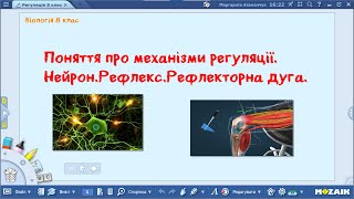 Біологія 8 клас Поняття про механізми регуляції Нейрон Рефлекс Рефлекторна дуга [upl. by Atirrehs819]