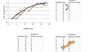 Species accumulation and rarefaction curves [upl. by Hamimej]