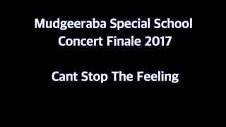 Cant Stop The Feeling  Mudgeeraba Special School Concert Finale 2017 [upl. by Greenburg]