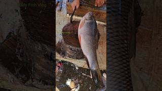 Wow Rustic Big Rohu Fish Cutting Skills Fast 😱 part344 shorts [upl. by Elihu]