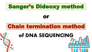 Dideoxy or Chain termination method of DNA sequencing Animation  Sangers DNA sequencing method [upl. by Orabla]