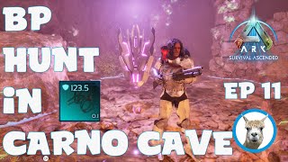 Carno Cave for BP Looting  Official PVE  Ark Survival Ascended [upl. by Now]