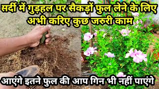 गुड़हल पर हजारों फुल कैसे लिए जाएHow To Get Thousand Flowers On Hibiscus PlantBest Fertilizer [upl. by Mishaan45]