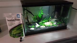 Review Seachem Flourish Tabs in low tech planted shrimp tank [upl. by Nylcsoj]